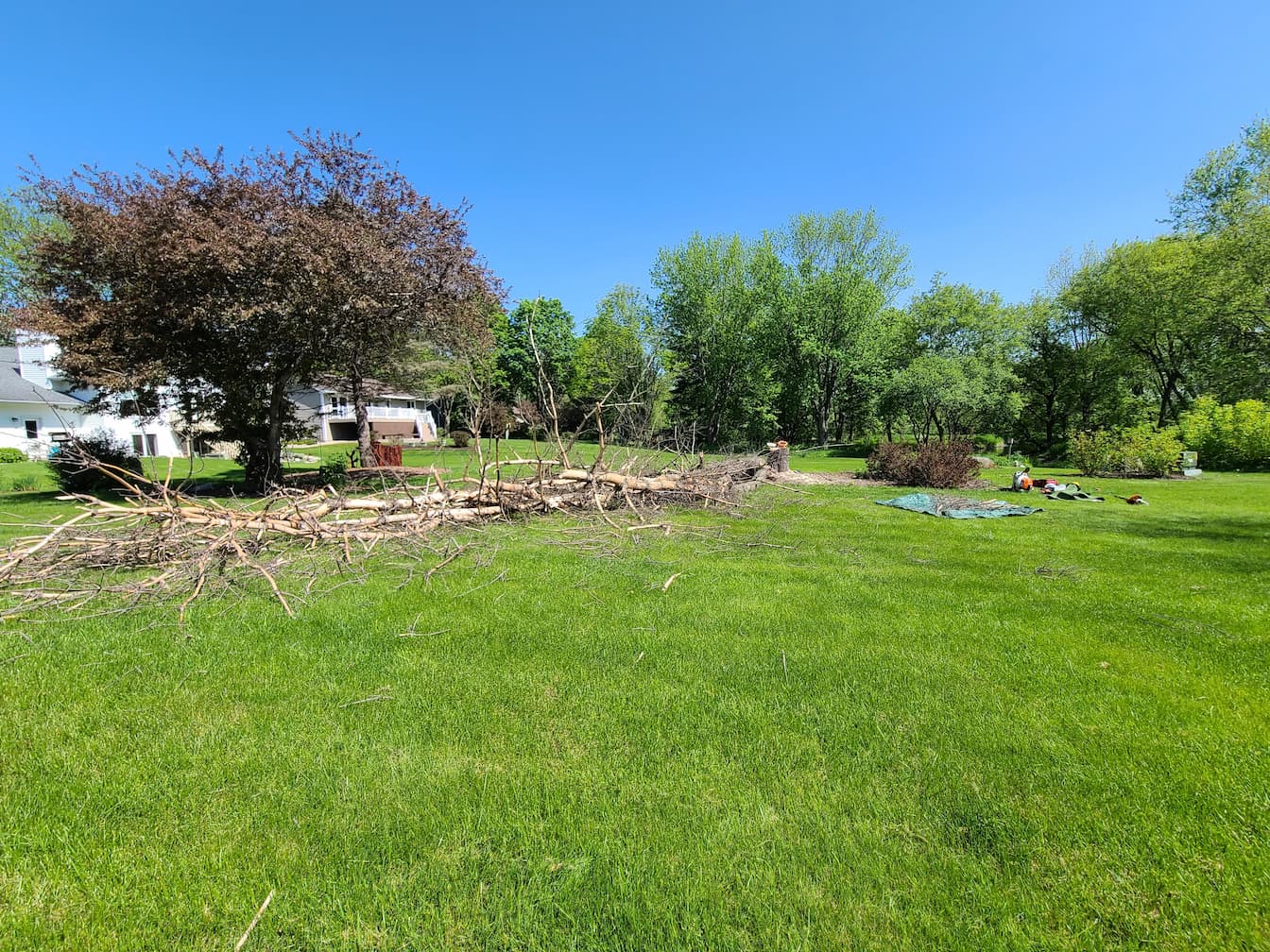 Lot after tree removal
