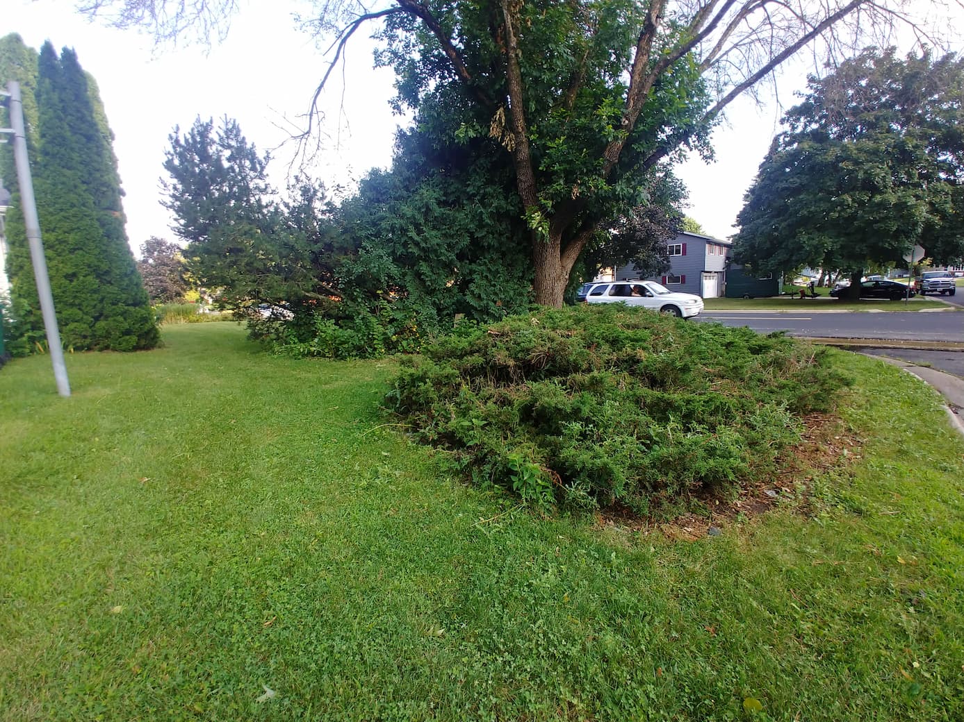 Lot before